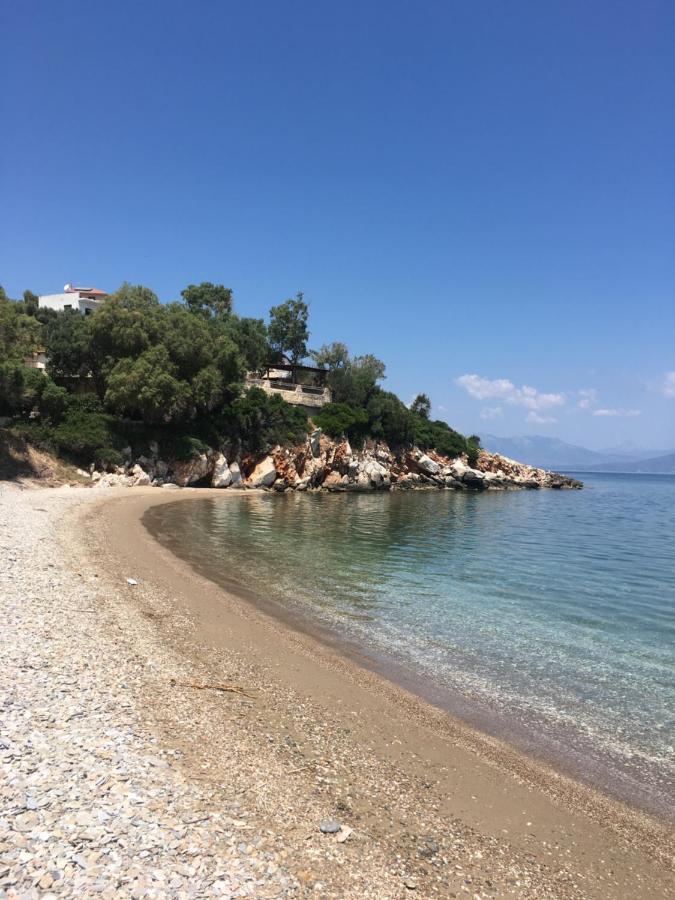 Eratous Seaside House Apartman Varnavas Kültér fotó