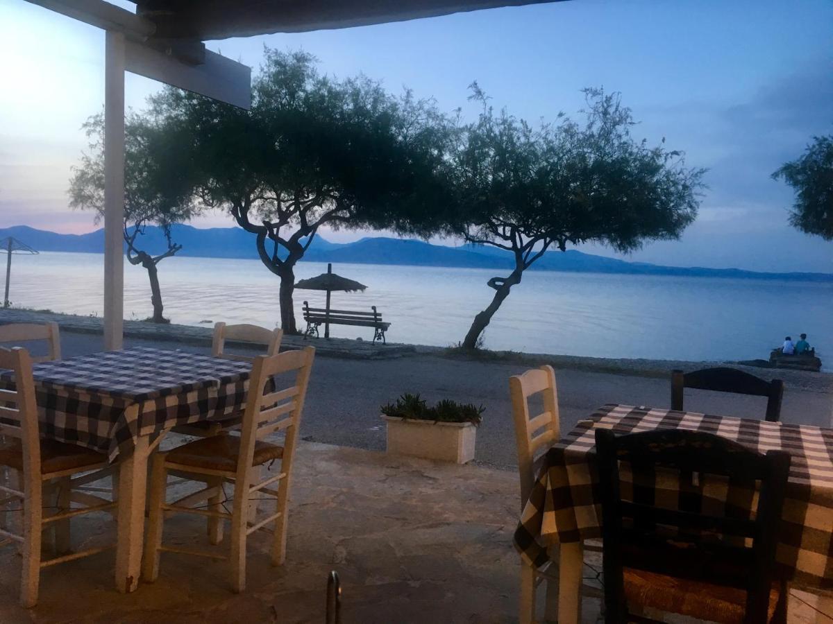 Eratous Seaside House Apartman Varnavas Kültér fotó